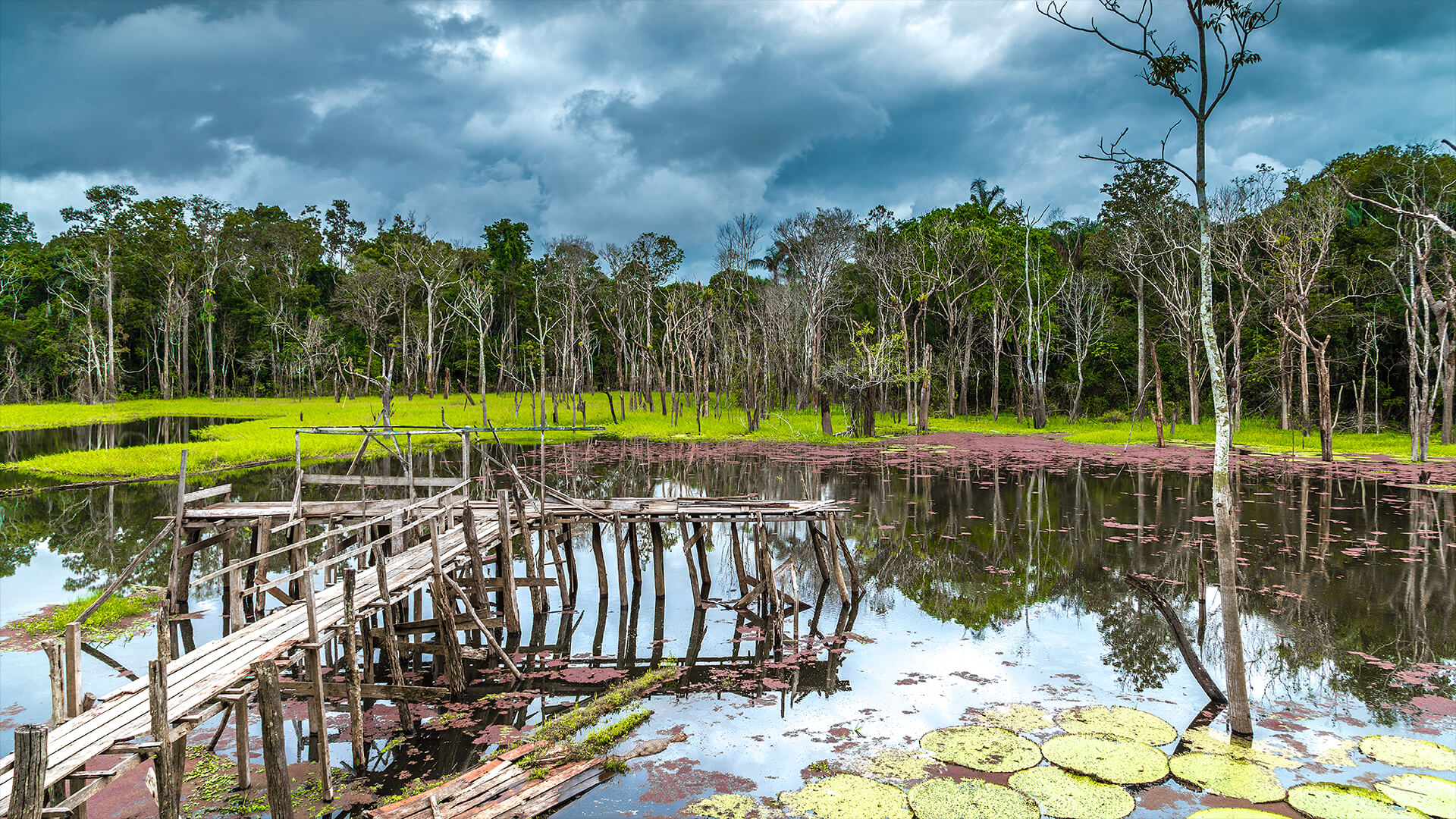 Pantanal, Mato Grosso